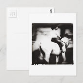 Dressage Briefkaart (Voorkant / Achterkant)