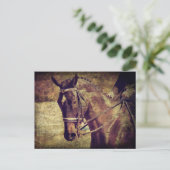 Dressage Briefkaart (Staand voorkant)