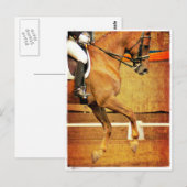 Dressage Briefkaart (Voorkant / Achterkant)