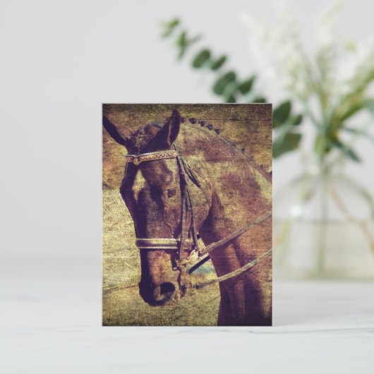 Dressage Briefkaart (Staand voorkant)