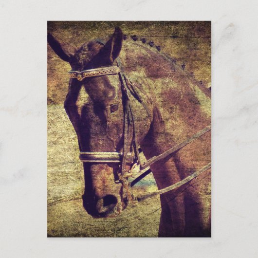 Dressage Briefkaart (Voorkant)