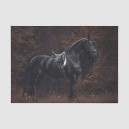 Dressage Friesian Stallion Tissuepapier