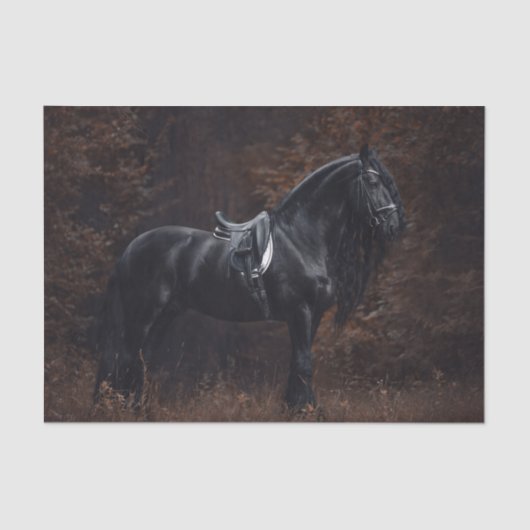 Dressage Friesian Stallion Tissuepapier (Voorkant)