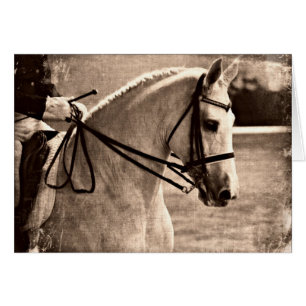 Dressage Grunge