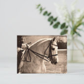 Dressage Grunge Briefkaart (Staand voorkant)