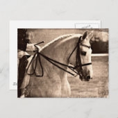 Dressage Grunge Briefkaart (Voorkant / Achterkant)