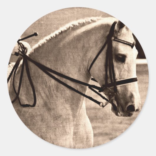 Dressage Grunge Ronde Sticker (Voorkant)