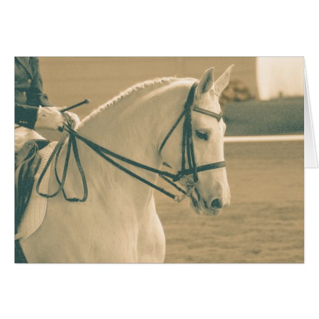 Dressage Horse (Voorkant Horizontaal)