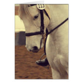Dressage Horse 113 (Voorkant)