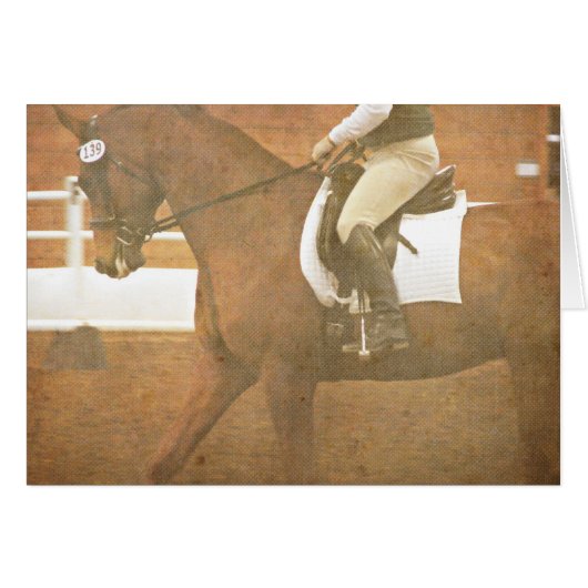 Dressage Horse 139 (Voorkant Horizontaal)