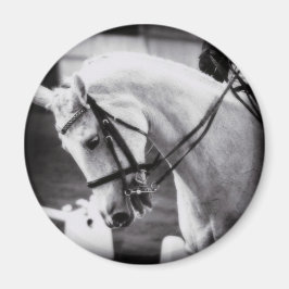 Dressage Horse Black and White Magneet