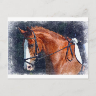 Dressage Horse Briefkaart