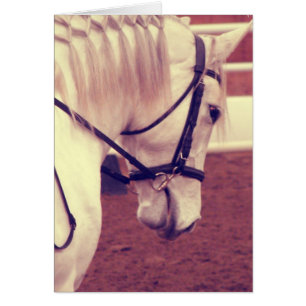 Dressage Horse Faux 