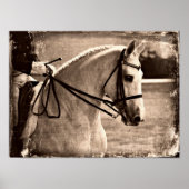 Dressage Horse Grunge Poster (Voorkant)