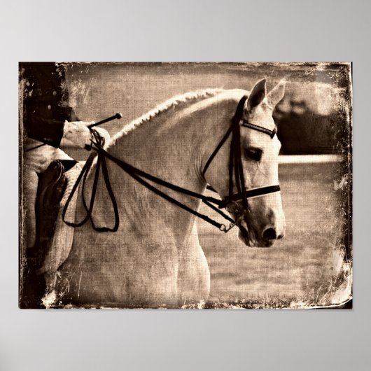 Dressage Horse Grunge Poster (Voorkant)