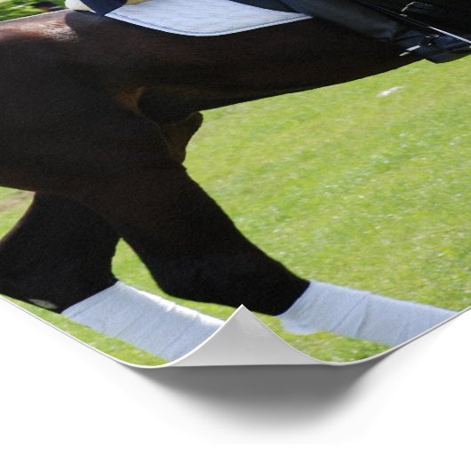 Dressage Horse Rider Canvas Print (Hoek)