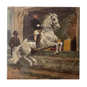 Dressage Horse Tile Tegeltje