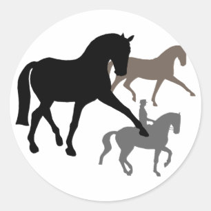 Dressage Horses Trio Ronde Sticker