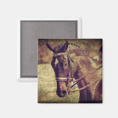 Dressage Magneet (Voorkant / Achterkant)