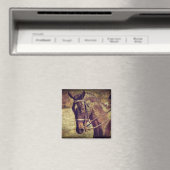 Dressage Magneet (Insitu (Vaatwasser))