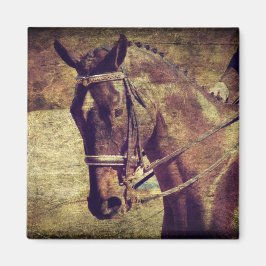 Dressage Magneet
