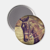 Dressage Magneet (Voorkant / Achterkant)