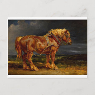Dressage Show Horse Briefkaart