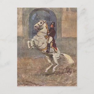 Dressage Show Horse Briefkaart