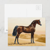 Dressage Show Horse Briefkaart (Voorkant / Achterkant)