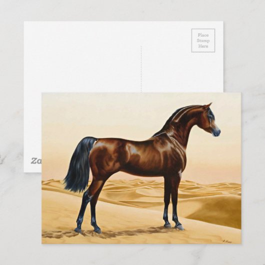 Dressage Show Horse Briefkaart (Voorkant / Achterkant)