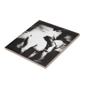 Dressage Tegeltje (Zijkant)