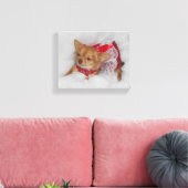 Dressy chihuahua print (Insitu (Woonkamer))