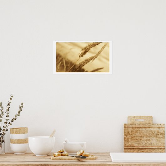Drew Sullivan - Prairie Grass Poster (Keuken)