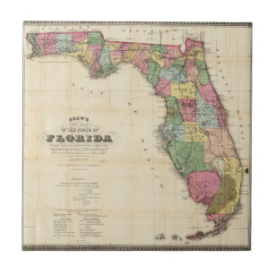 Drew's nieuwe kaart van de staat Florida Tegeltje