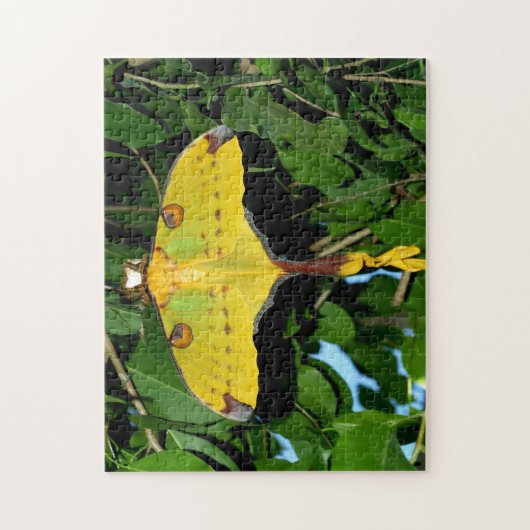 Drexel Butterfly. Legpuzzel (Verticaal)