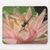 Drgonfly op Water Lily Muismat (Voorkant)