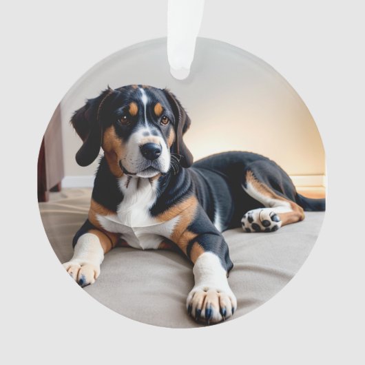 Dri-kleurig hondenportret ornament (voorkant)