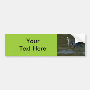 Dribbling Heron Bumpersticker