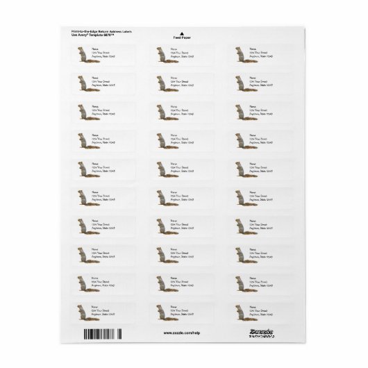 Dribborn Squirrel Return Address Labels (Full Sheet)