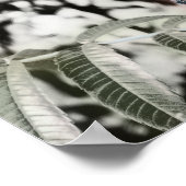Drie 12” poster (Hoek)