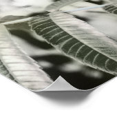 Drie 16" poster (Hoek)