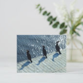 Drie aalscholvers briefkaart (Staand voorkant)