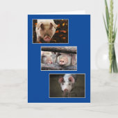 Drie Aangepaste Varken Foto Verjaardag Kaart (Voorkant)