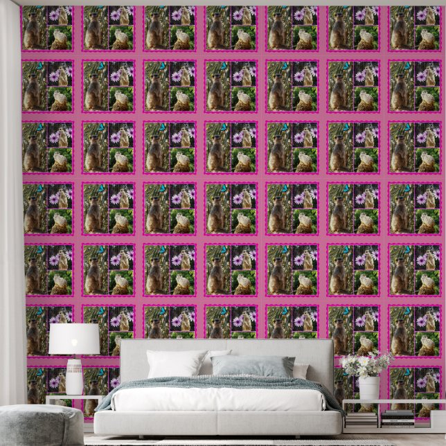 Drie Afbeelding Meerkat Photo Collage Behang (Slaapkamer)