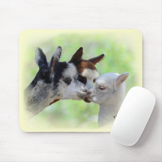 drie Alpacas Mousepad Muismat (Met muis)
