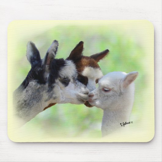 drie Alpacas Mousepad Muismat (Voorkant)
