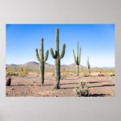 Drie Amigo Saguaros Poster (Voorkant)