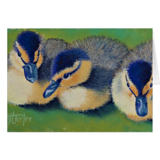 Drie Amigos (Voorkant Horizontaal)