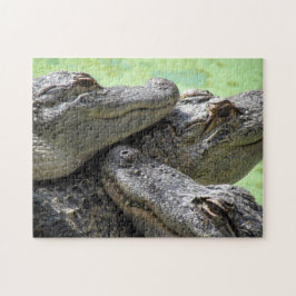 Drie Amigos Alligator Puzzle Legpuzzel