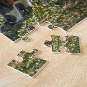 Drie Amigos Alpacas Legpuzzel (Zijkant)